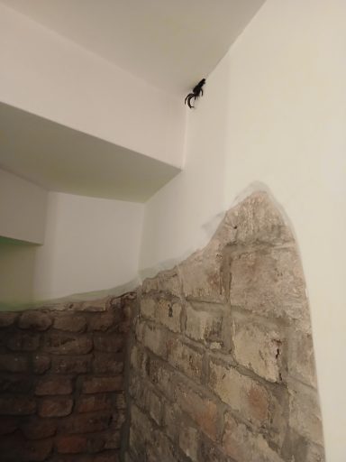 A corner of a room featuring a white wall and exposed brick, with a bat resting above.